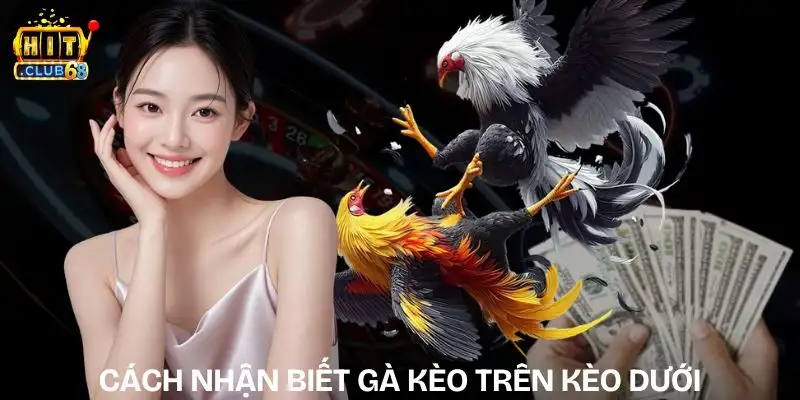 cach nhan biet ga keo tren keo duoi