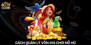 cach quan ly von khi choi no hu