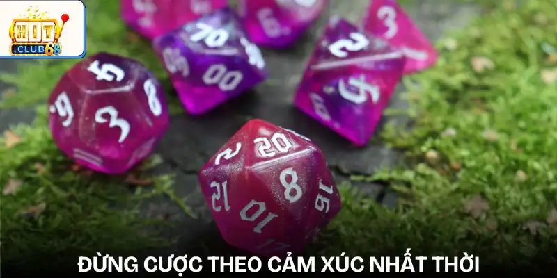 nhung sai lam pho bien khi choi xoc dia dat cuoc theo cam xuc thay vi chien luoc