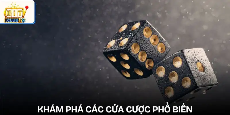 xoc dia cac cua cuoc pho bien trong xoc dia